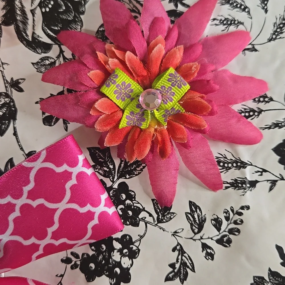 Pink and Orange Hair Accessories Set B16
